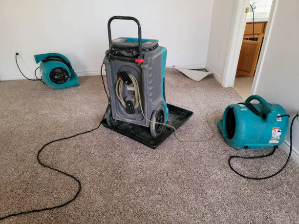 Best Water damage restoration services  in Cheverly, MD