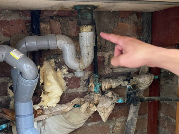 Best Local water damage restoration  in Cheverly, MD
