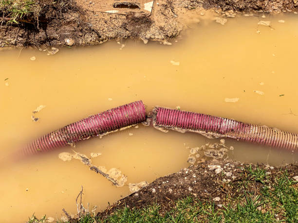 Best Sewage cleanup and water damage restoration  in Cheverly, MD