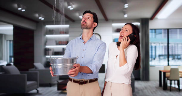 Best Professional water damage repair  in Cheverly, MD